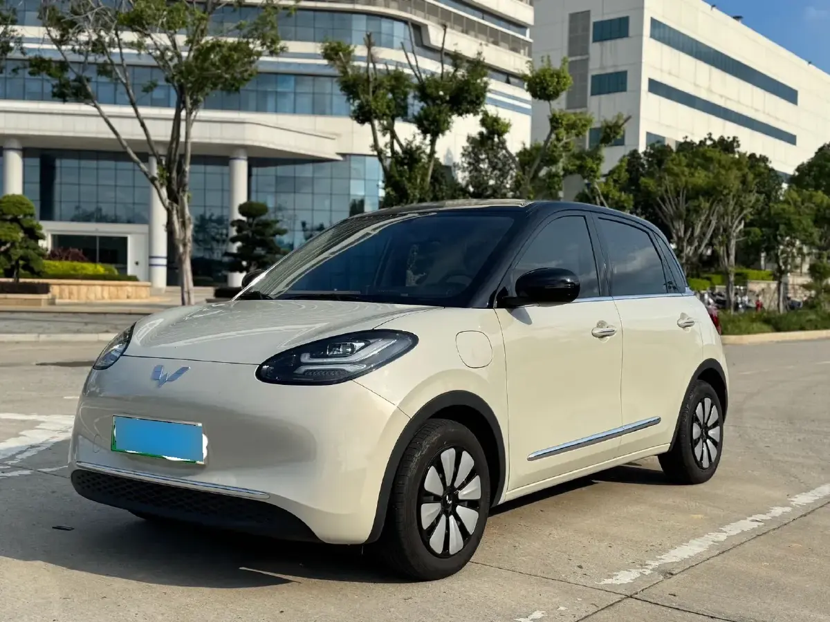 2024 WuLing BinGuo BEV 31.9KWH