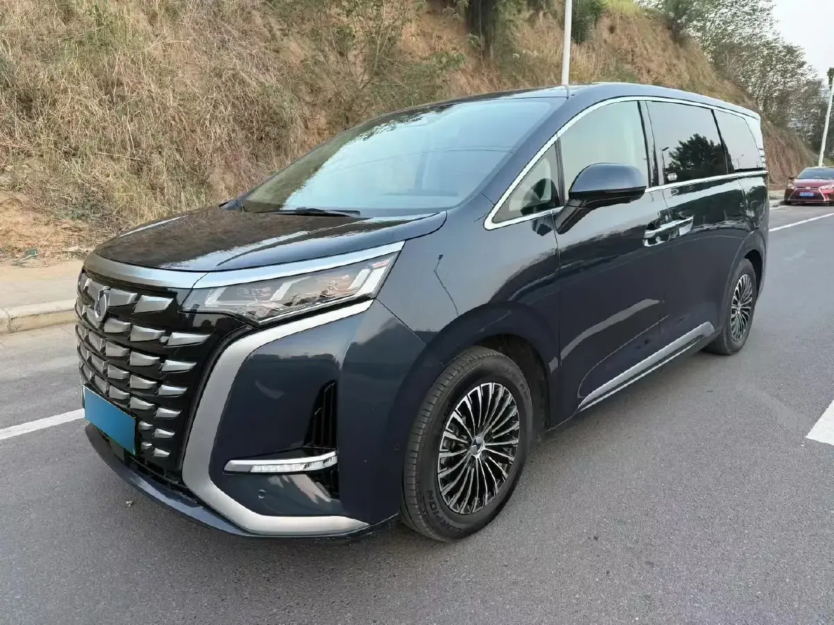 2022 Denza D9 1.5T 139HP L4 E-CVT PHEV 40.06KWH