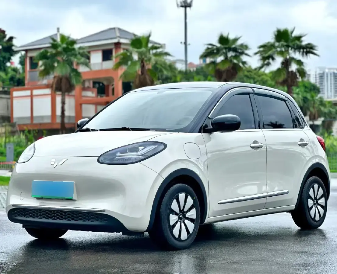 2023 WuLing BinGuo BEV 31.9KWH