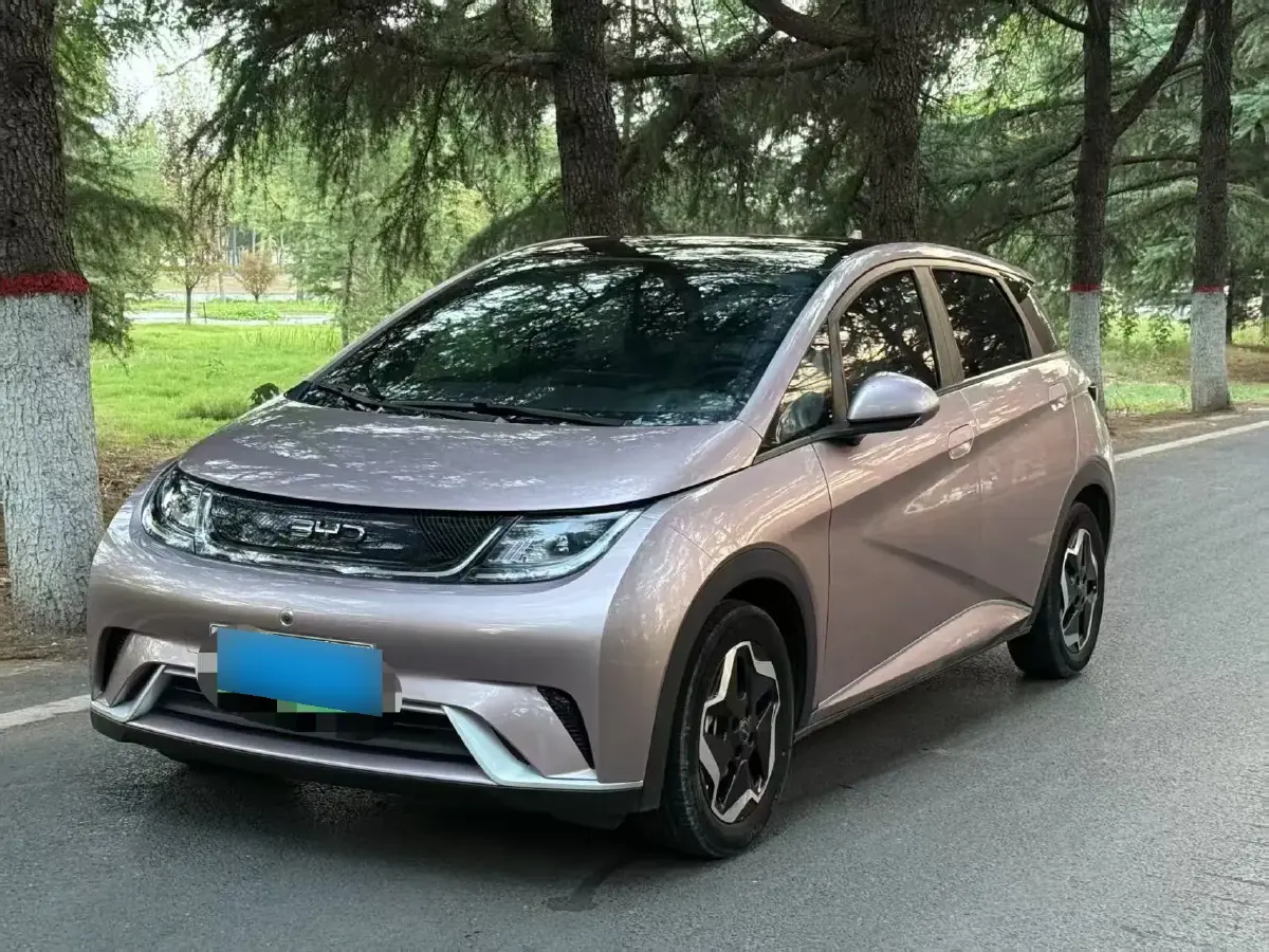 2021 BYD Dolphin BEV 44.9KWH