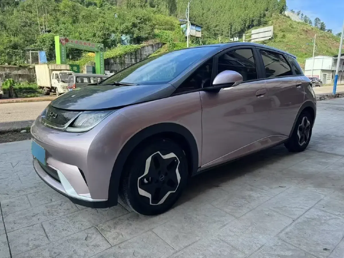 2021 BYD Dolphin BEV 44.9KWH