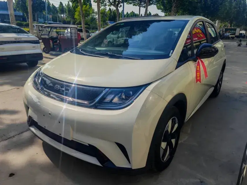2025 BYD Dolphin BEV 44.928KWH