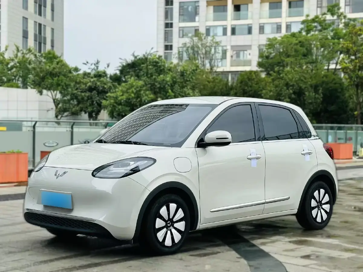 2023 WuLing BinGuo BEV 31.9KWH