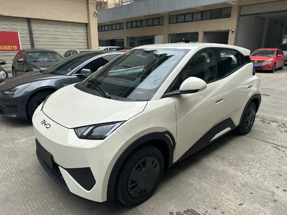 2025 BYD Seagull BEV 30.08KWH