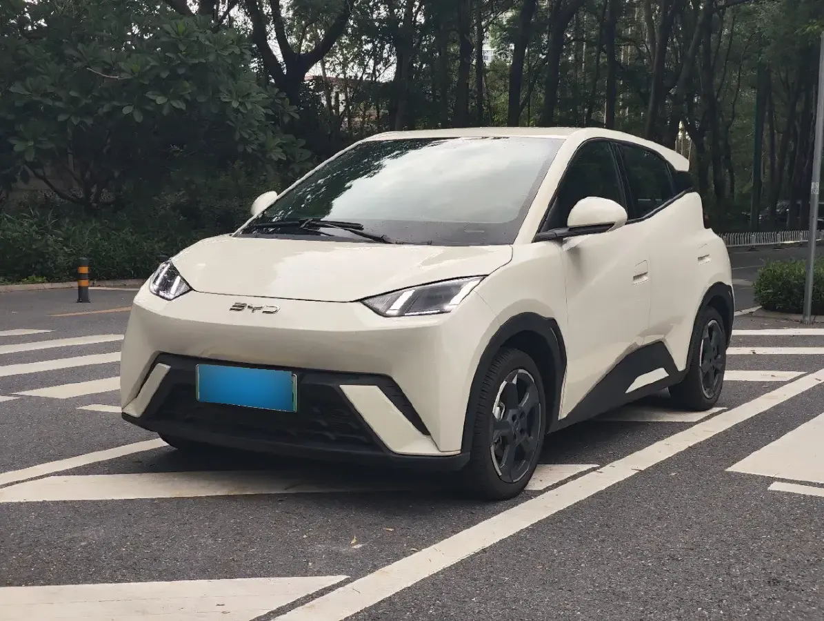 2024 BYD Seagull BEV 38.88KWH