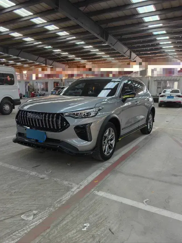 2022 Haval Rabbit 1.5T 150HP L4 7DCT