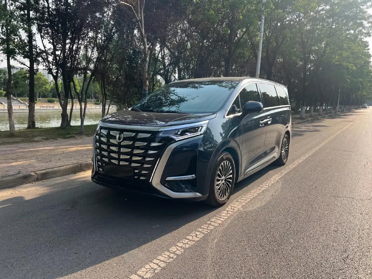 2022 Denza D9 1.5T 139HP L4 E-CVT PHEV 40.06KWH