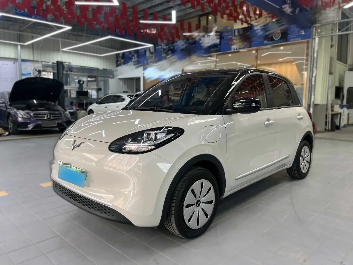 2024 WuLing BinGuo BEV 17.3KWH