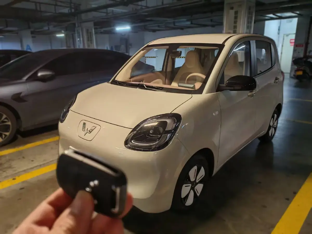 2025 WuLing HongGuang MINI EV BEV 16.2KWH