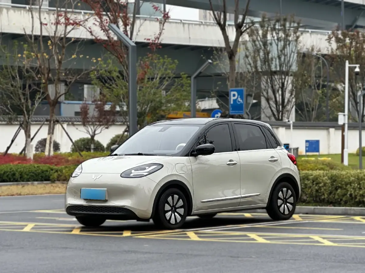 2023 WuLing BinGuo BEV 31.9KWH