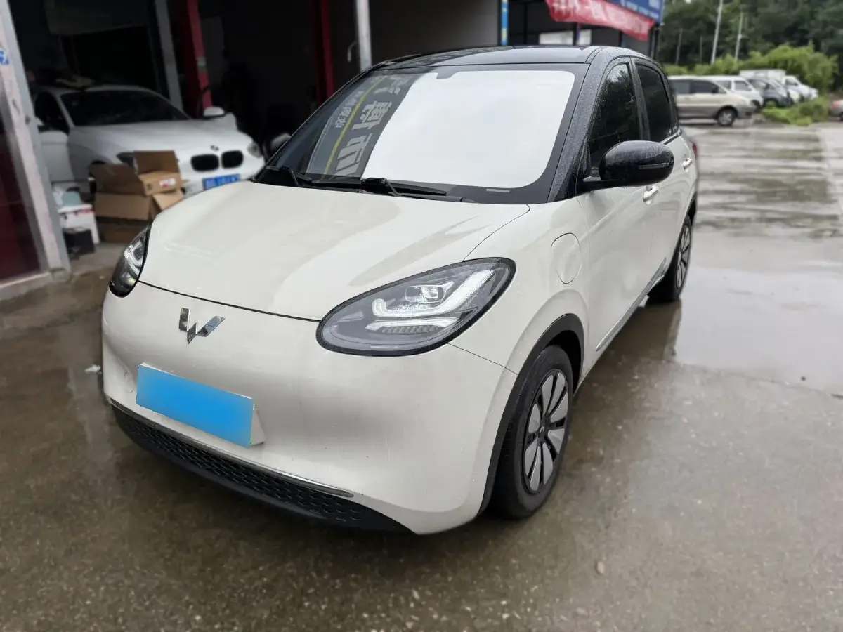 2025 WuLing BinGuo BEV 2025 WuLing BinGuo BEV