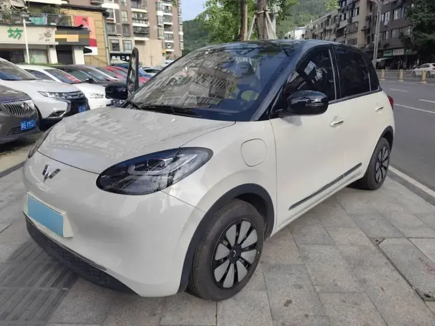 2024 WuLing BinGuo BEV 31.9KWH