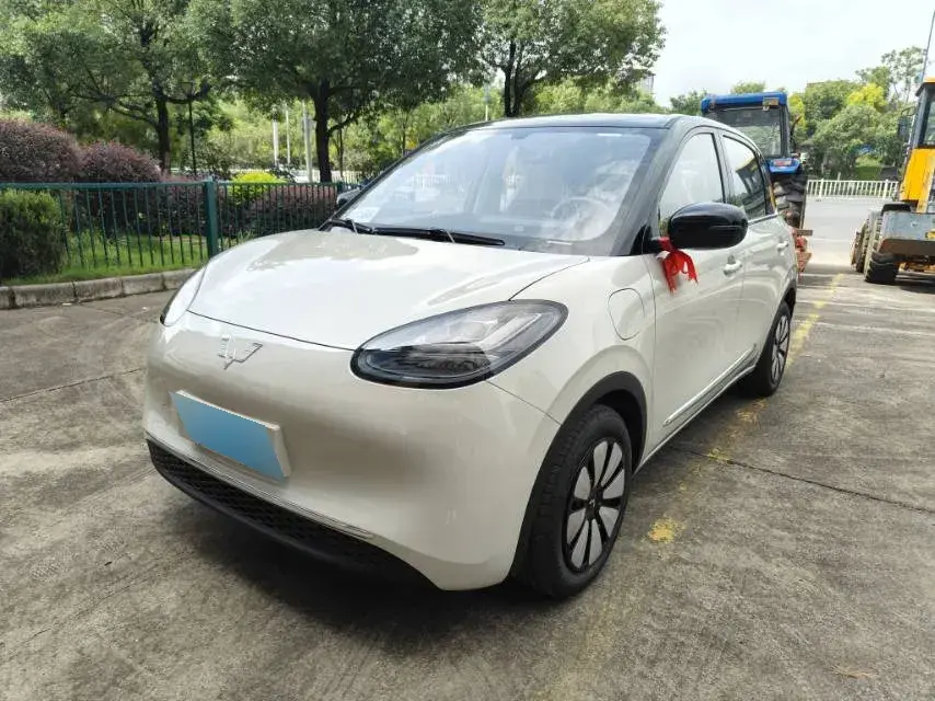 2025 WuLing BinGuo BEV