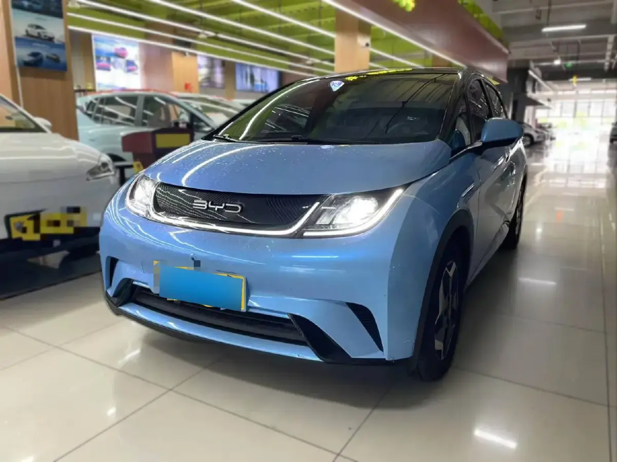 2021 BYD Dolphin BEV 44.9KWH