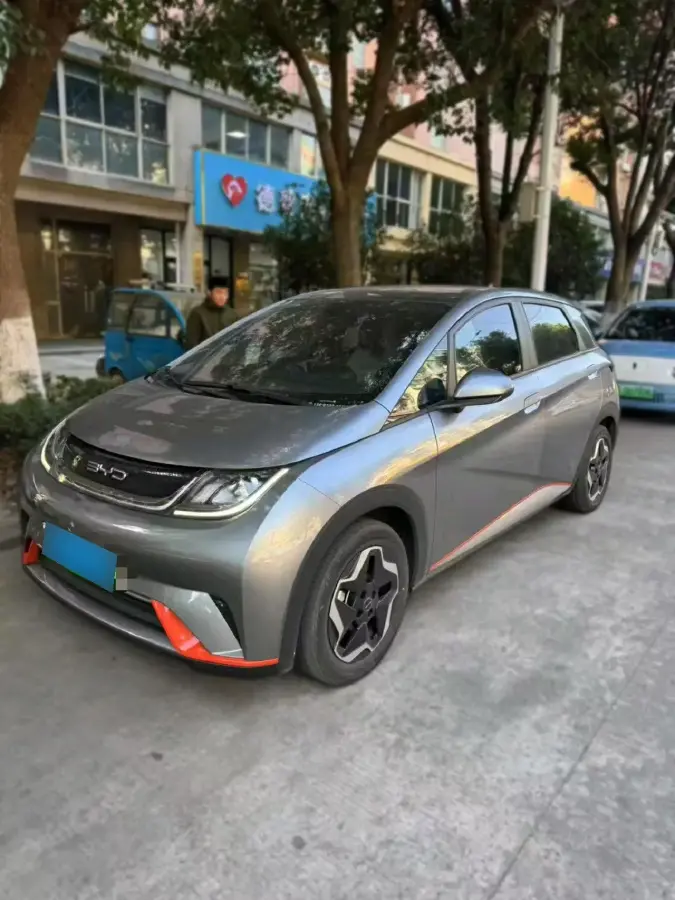 2021 BYD Dolphin BEV 44.9KWH
