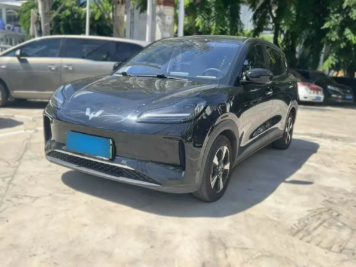 2024 WuLing BinGuoPLUS BEV 50.6KWH