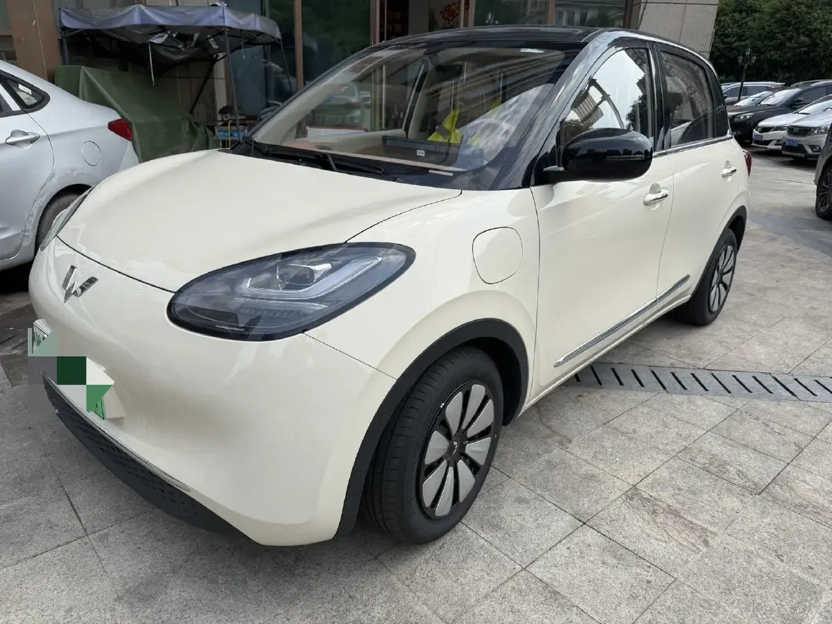 2025 WuLing BinGuo BEV