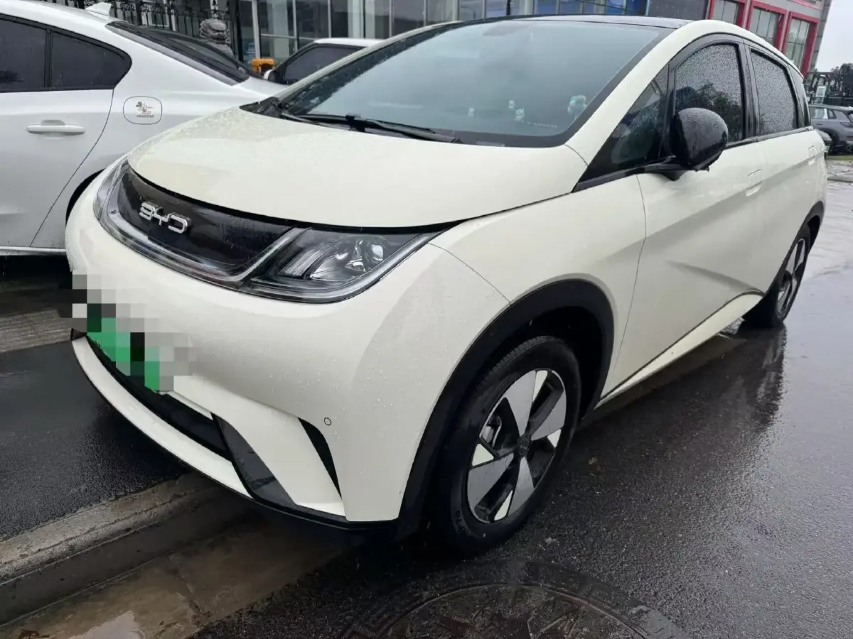 2023 BYD Dolphin BEV 44.928KWH