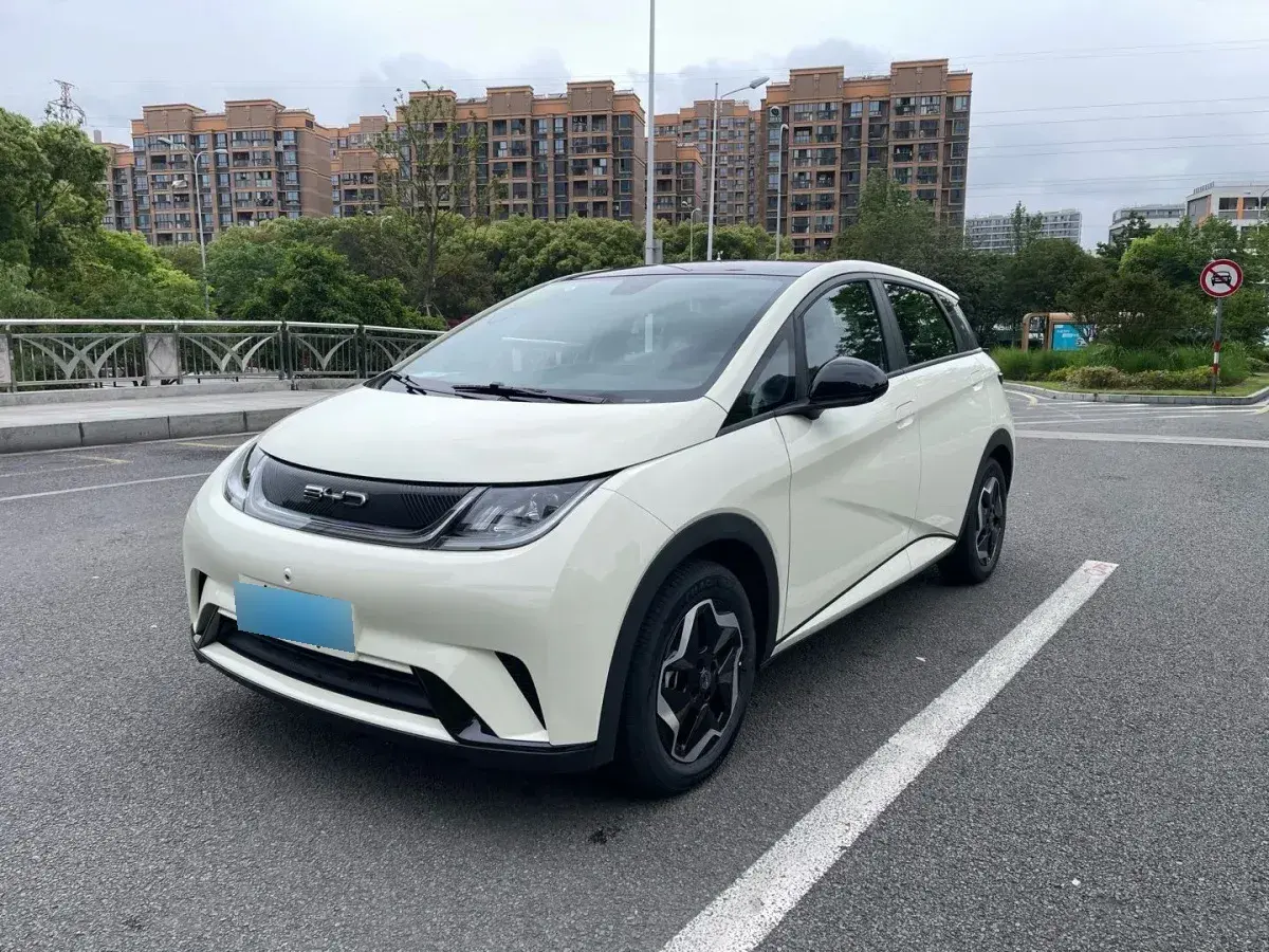 2021 BYD Dolphin BEV 44.9KWH