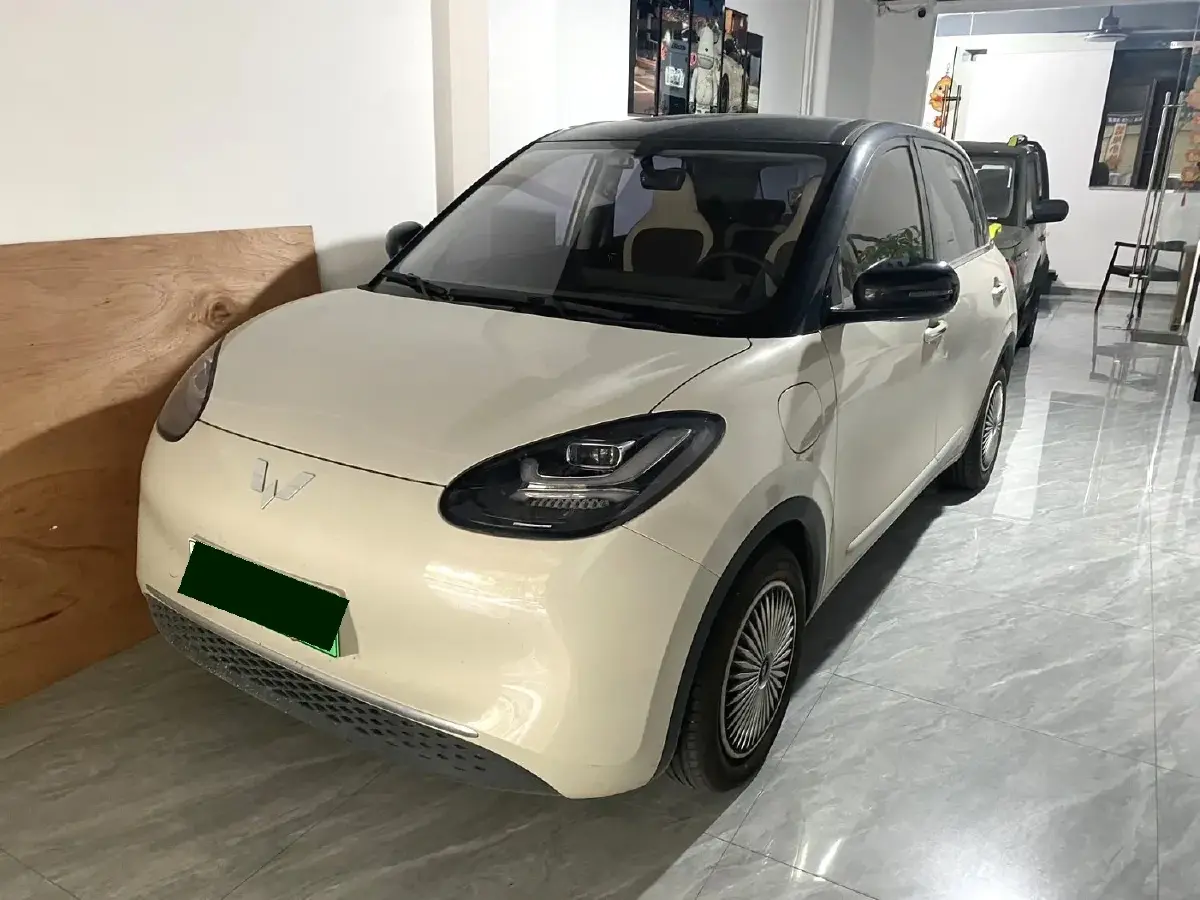 2024 WuLing BinGuo BEV 31.9KWH