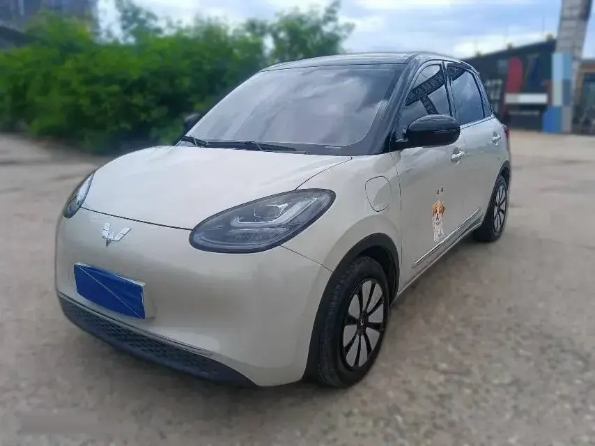2024 WuLing BinGuo BEV 31.9KWH