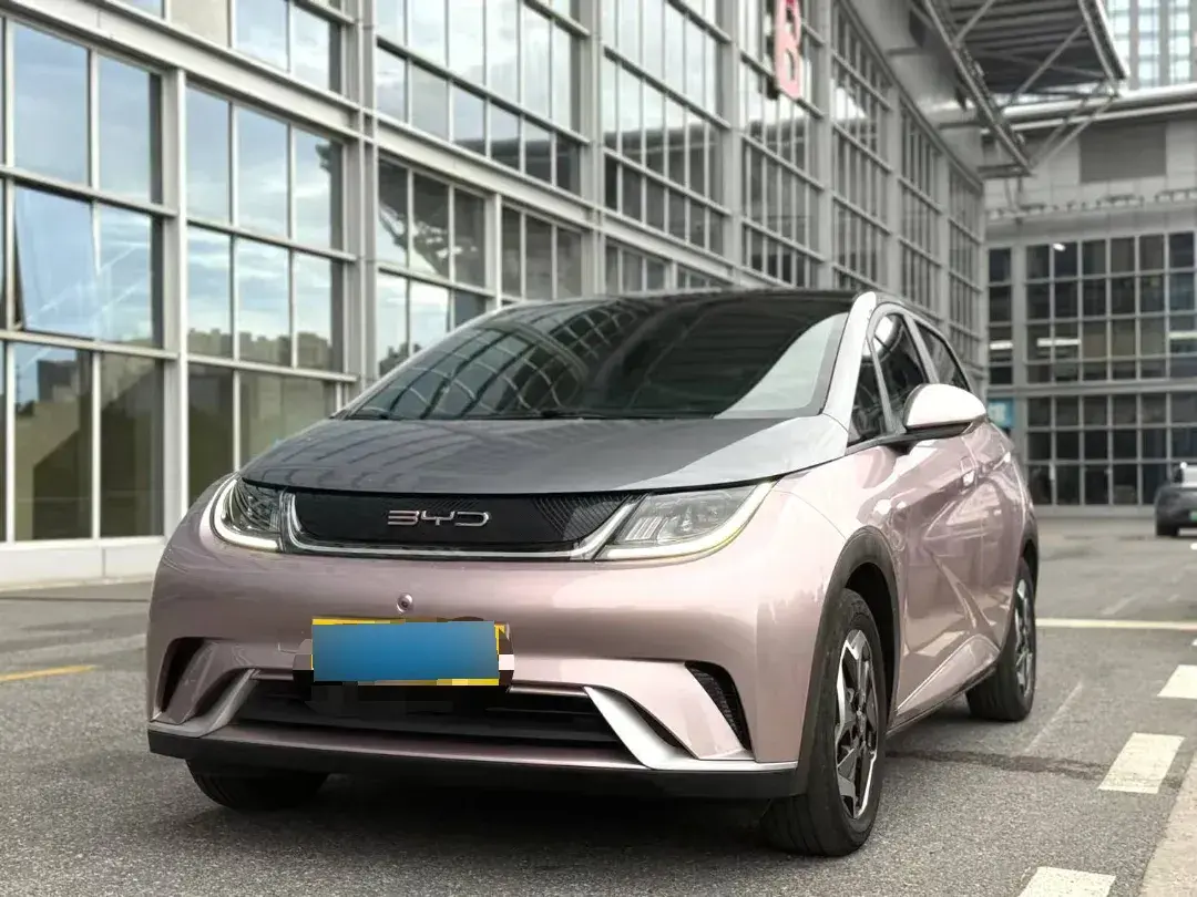 2021 BYD Dolphin BEV 44.9KWH