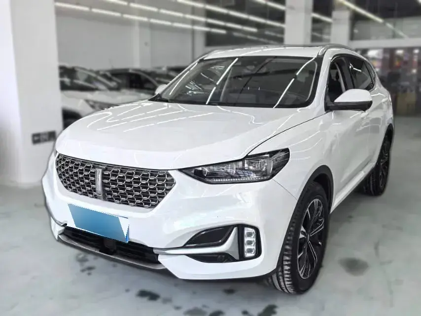 2021 WEY VV6 2.0T 227HP L4 7DCT