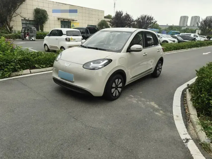 2025 WuLing BinGuo BEV