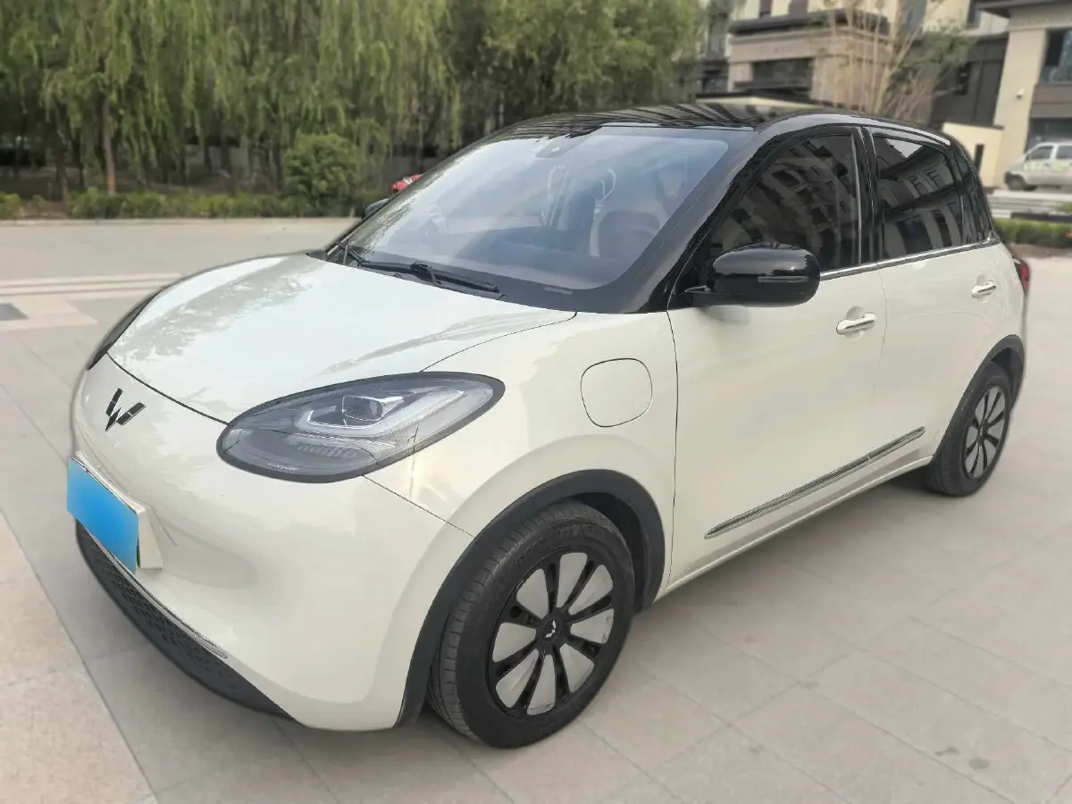 2023 WuLing BinGuo BEV 31.9KWH