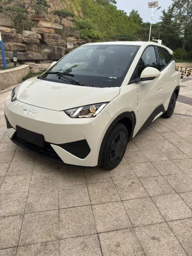 2025 BYD Seagull BEV 30.08KWH