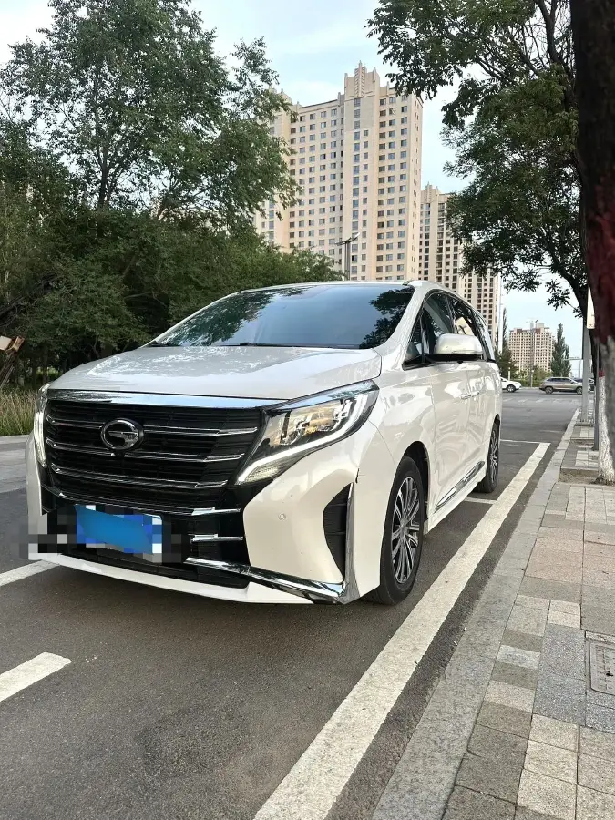 2021 GAC Trumpchi M8 2.0T 252HP L4 8AT