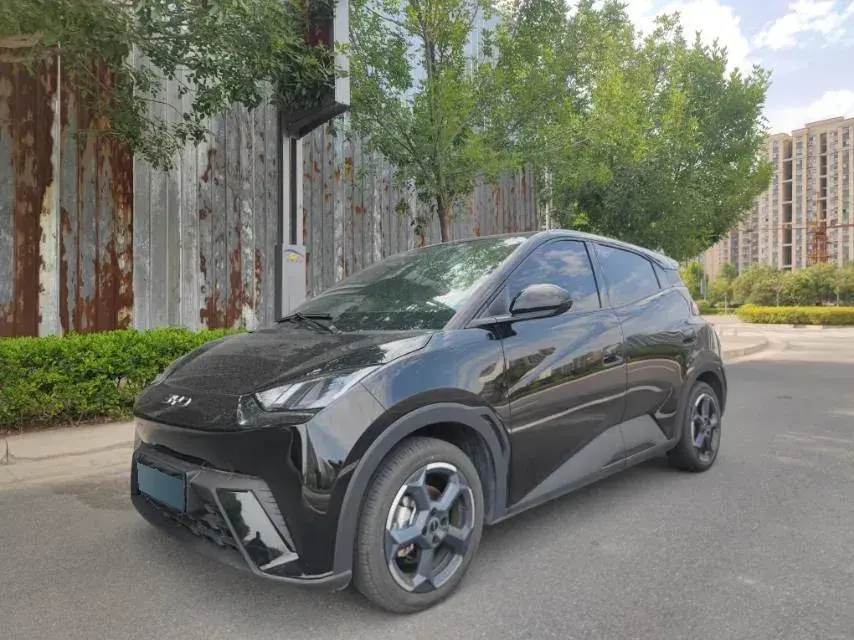 2024 BYD Seagull BEV 30.08KWH