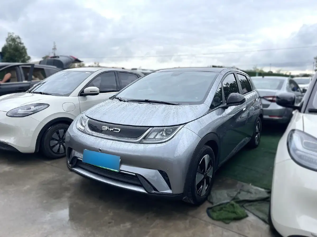 2023 BYD Dolphin BEV 44.928KWH