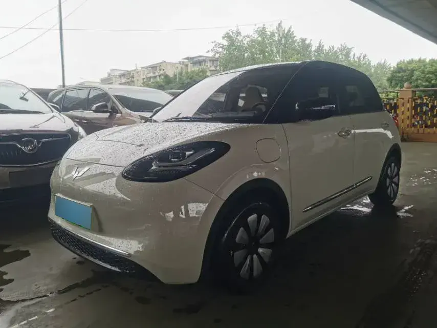 2024 WuLing BinGuo BEV 31.9KWH