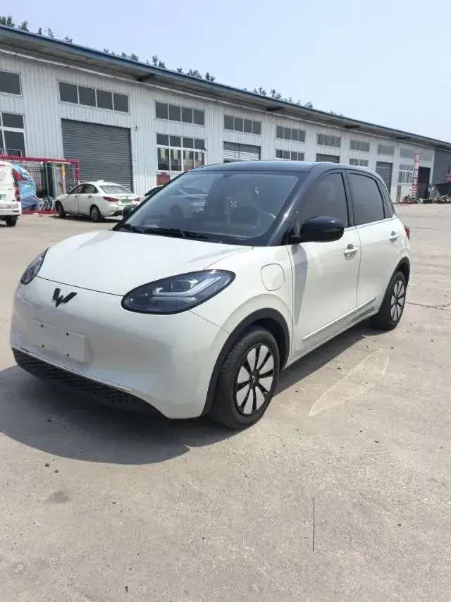 2024 WuLing BinGuo BEV 31.9KWH