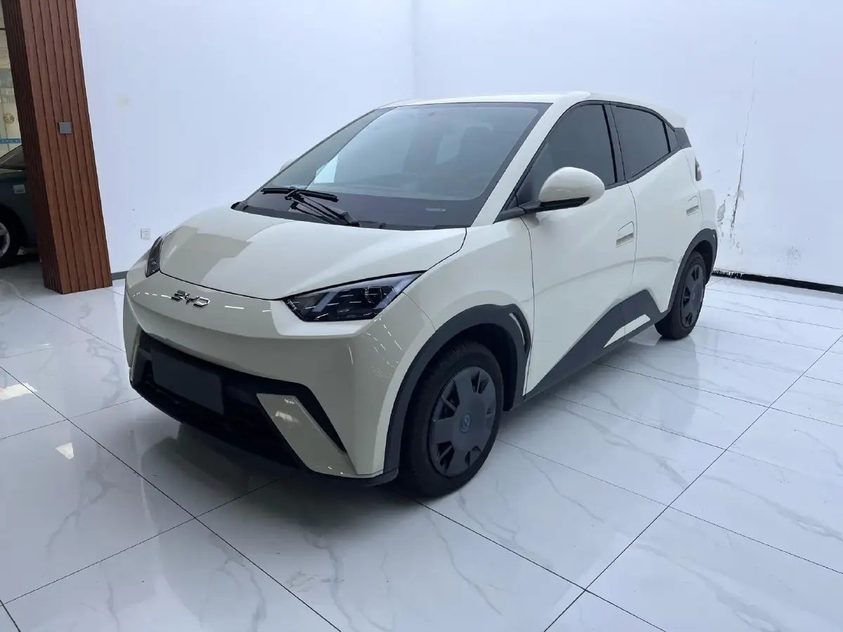 2025 BYD Seagull BEV 30.08KWH