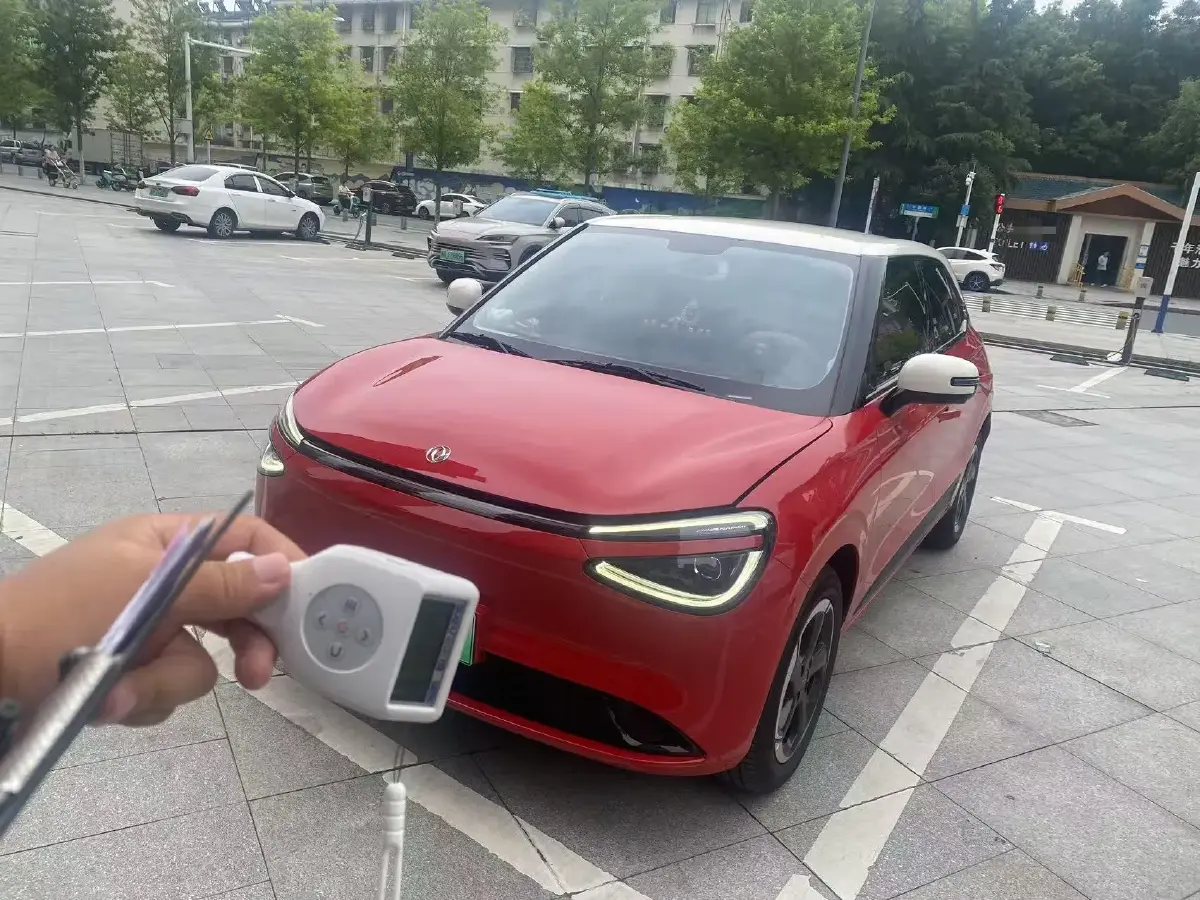 2024 DongFeng Nammi 01 BEV 42.3KWH