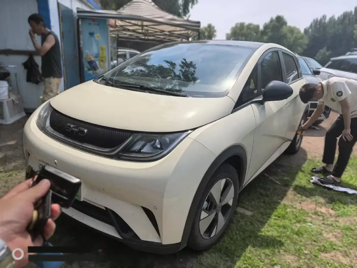 2023 BYD Dolphin BEV 44.928KWH