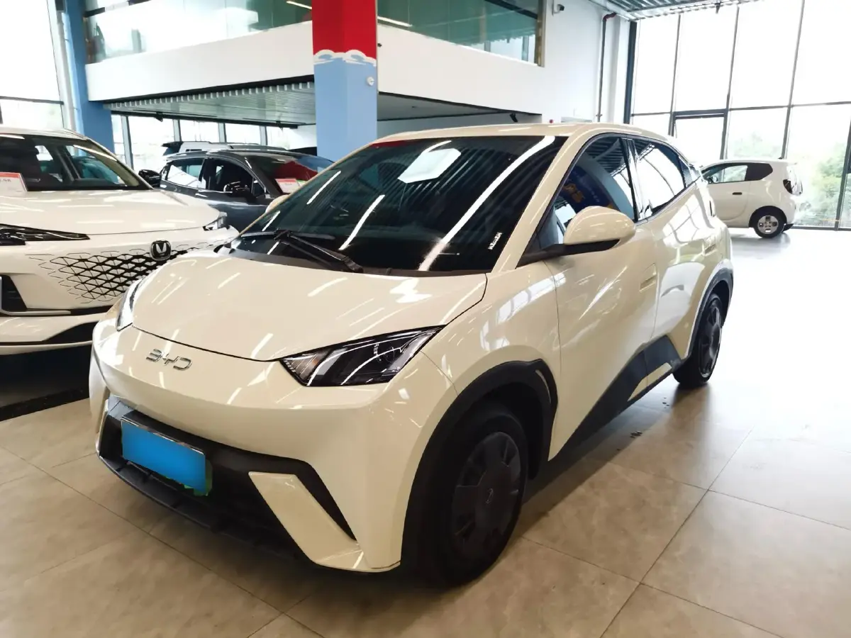 2024 BYD Seagull BEV 30.08KWH