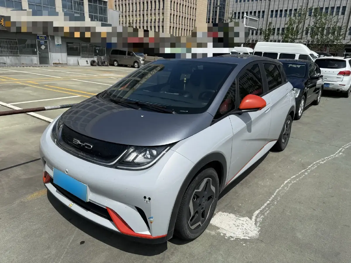 2021 BYD Dolphin BEV 44.9KWH