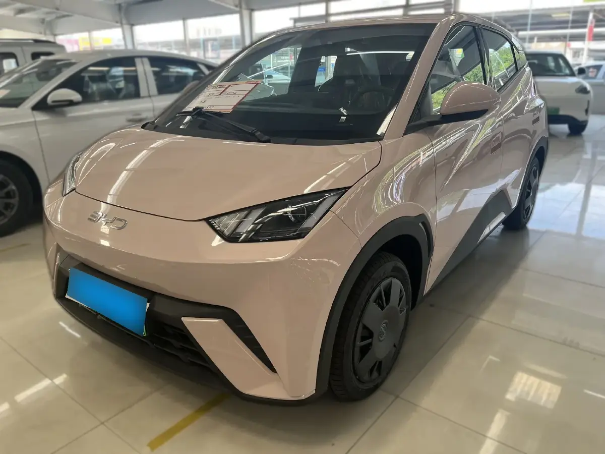 2025 BYD Seagull BEV 30.08KWH