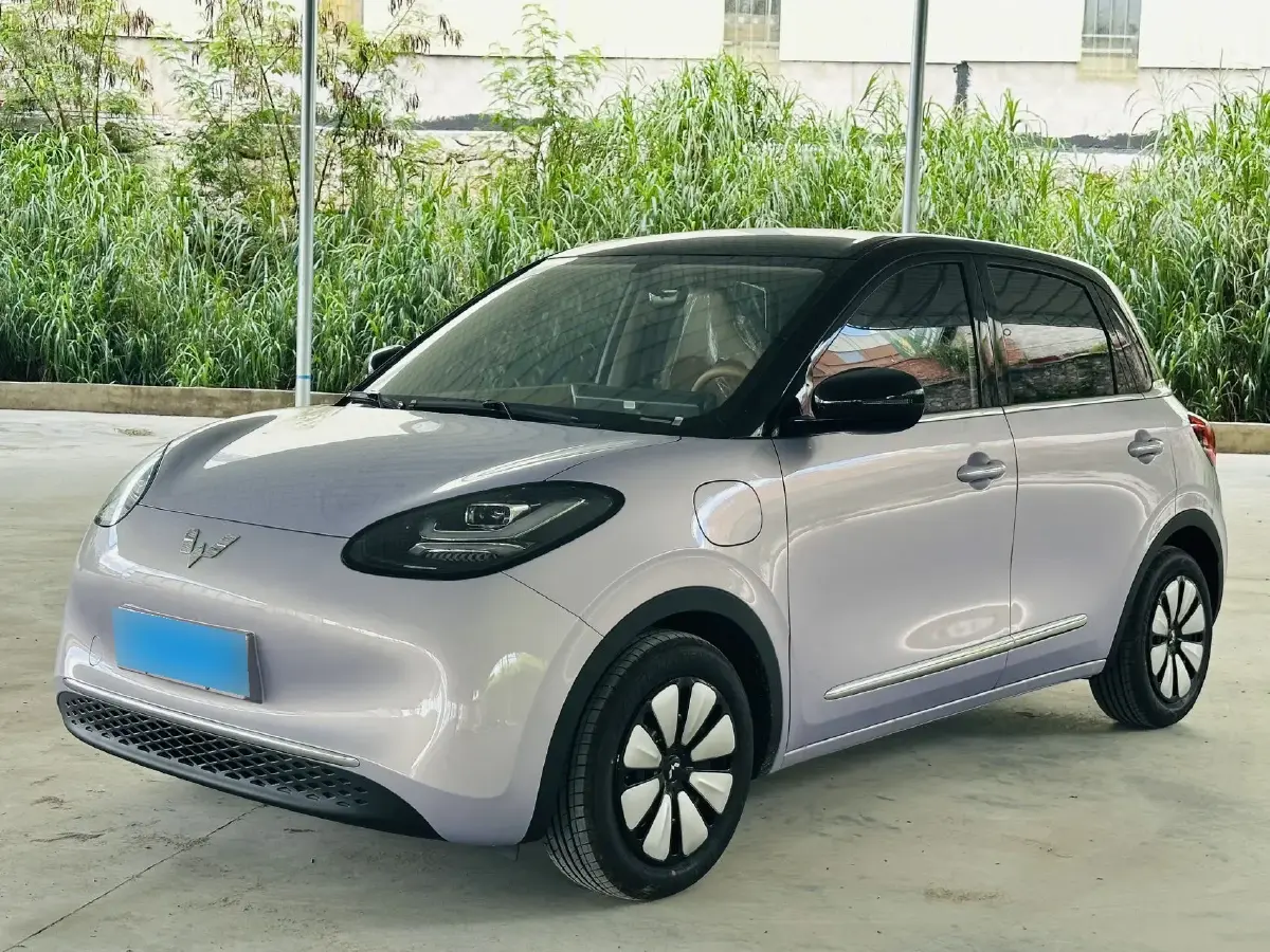 2025 WuLing BinGuo BEV
