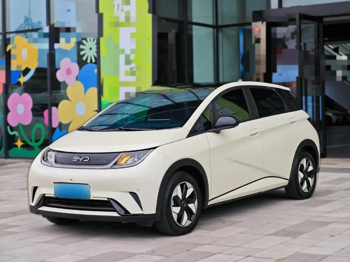 2024 BYD Dolphin BEV 44.928KWH