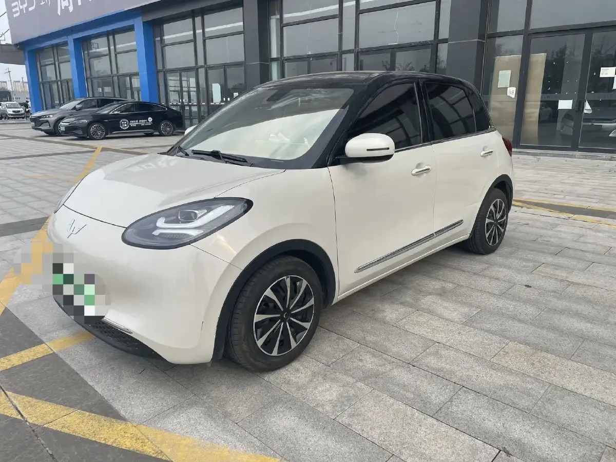 2023 WuLing BinGuo BEV 17.3KWH