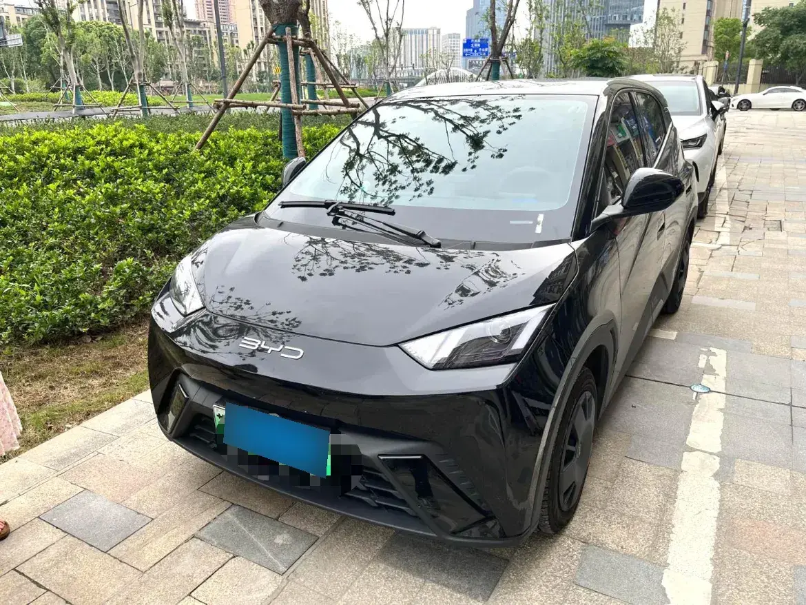 2024 BYD Seagull BEV 30.08KWH