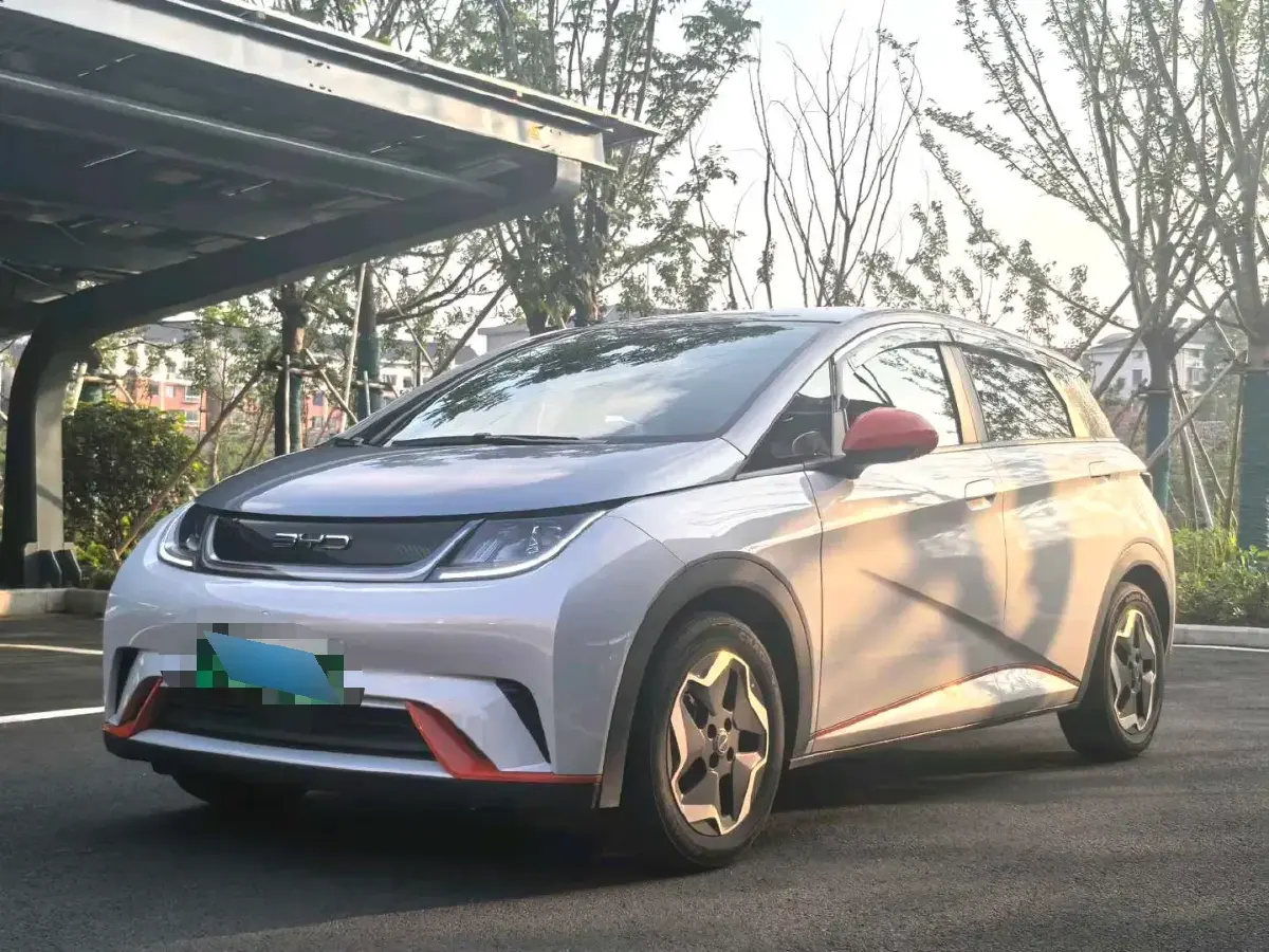 2021 BYD Dolphin BEV 44.9KWH