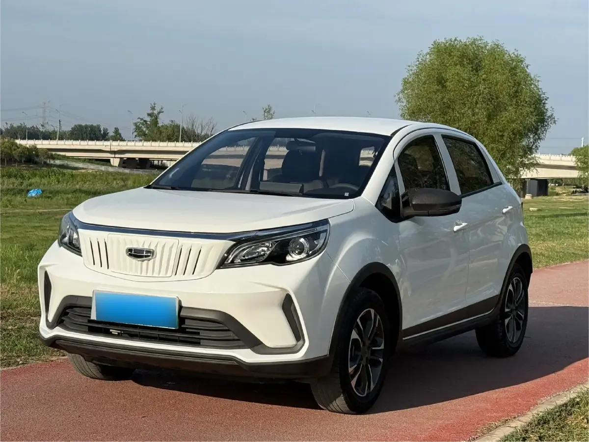 2021 Geometry EX3 BEV 37.23KWH