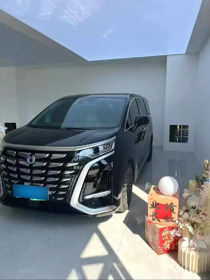 2022 Denza D9 1.5T 139HP L4 E-CVT PHEV 40.06KWH