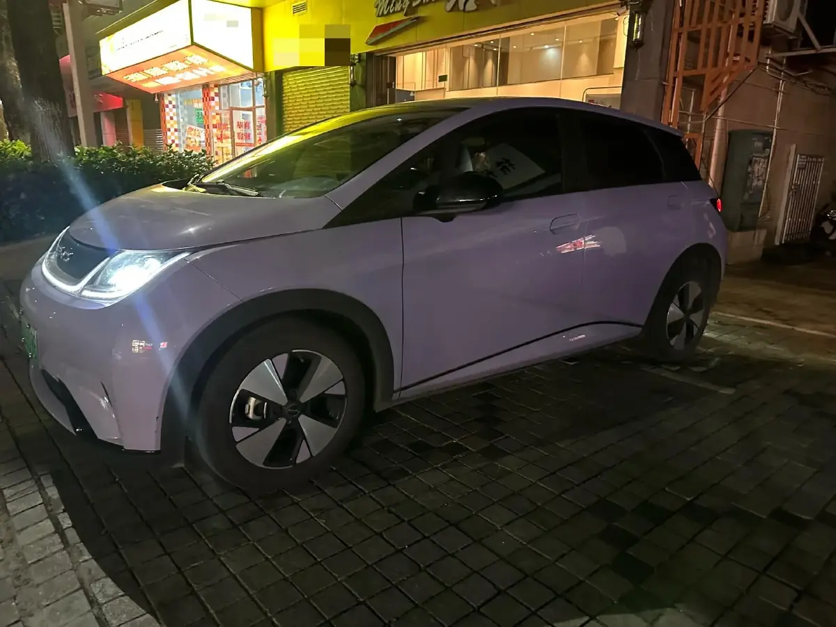2023 BYD Dolphin BEV 44.928KWH