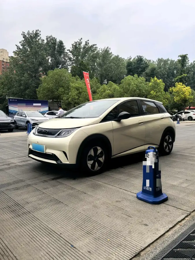 2025 BYD Dolphin BEV 44.928KWH